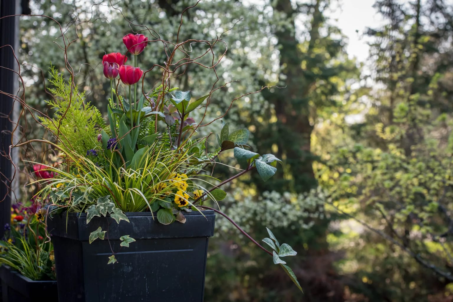 Spring Displays