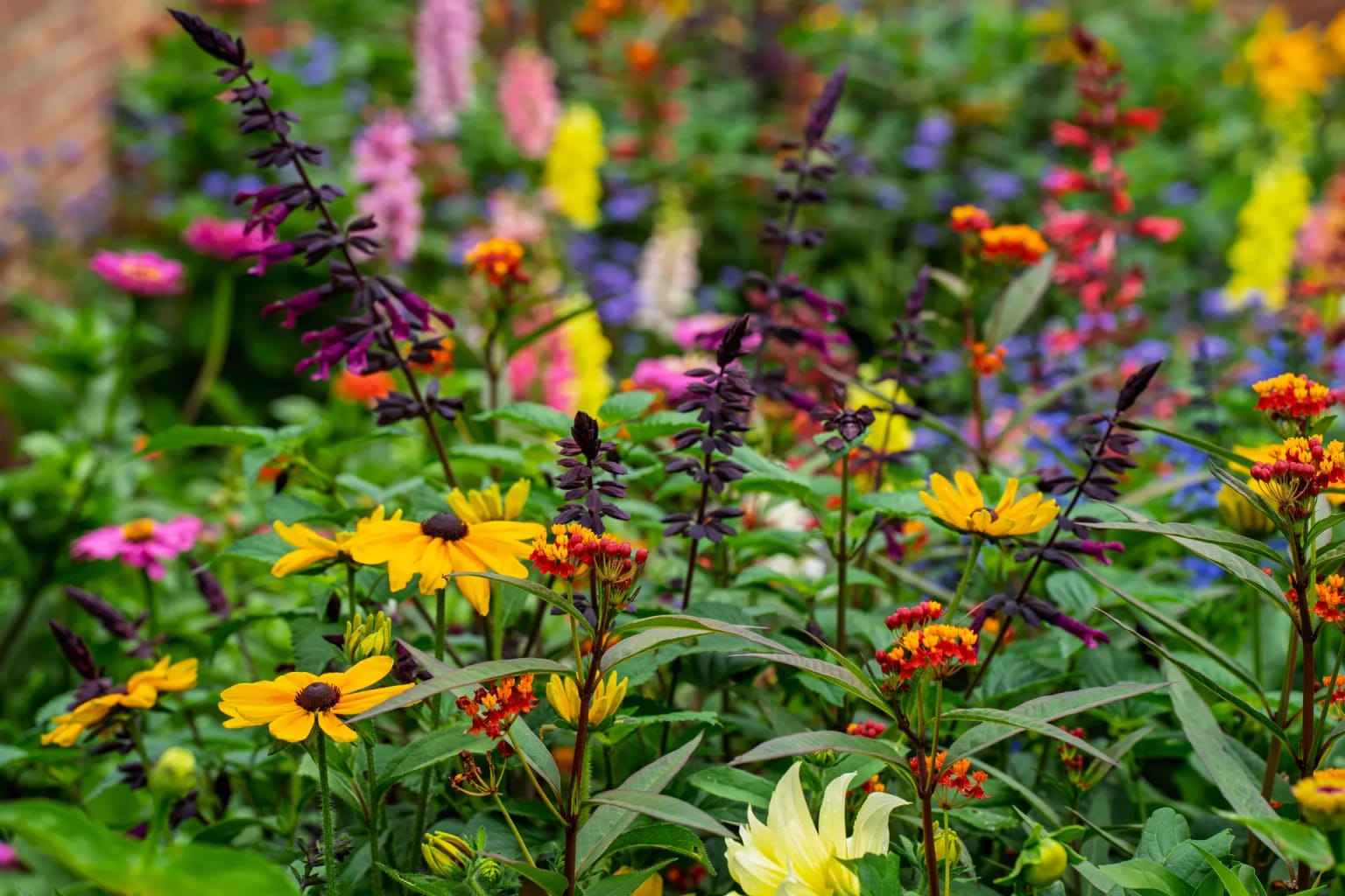 Summer Displays